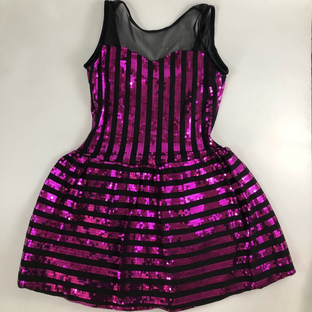 Art-stone Dance Costume-Pink & Black Striped Dress